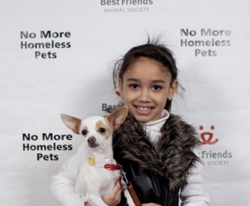 Child holding a Chihuahua in front of a Best Friends No More Homeless Pets backdrop